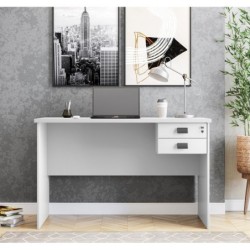 Mesa de oficina ECO, 2 cajones, bilaminado color platino, 120 x 60 cms 2