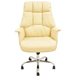 Sillón de oficina FIRENZE, alto, gas, mecanismo multifunción, similpiel beige 2